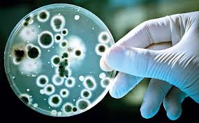 La resistencia microbiana causaría 10 millones de muertes anuales en 2050
