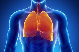 El tabaquismo: uno de los principales responsables de la Enfermedad Pulmonar Obstructiva Crónica