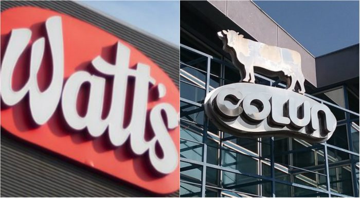 En un nuevo capítulo de la guerra de la leche: Watt’s quiere saber quiénes son los dueños de Colún