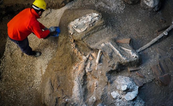 Pompeya: el «excepcional» hallazgo de los restos de un caballo con su silla y adornos