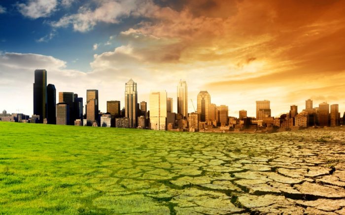 Cambio climático: es hora de actuar