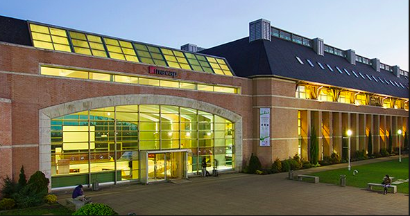 Suicidio de la calidad de la educación