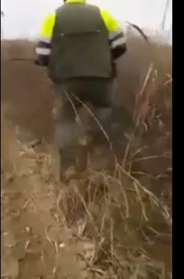 Imágenes fuertes: video de un hombre golpeando a un zorro herido genera repudio en Redes Sociales