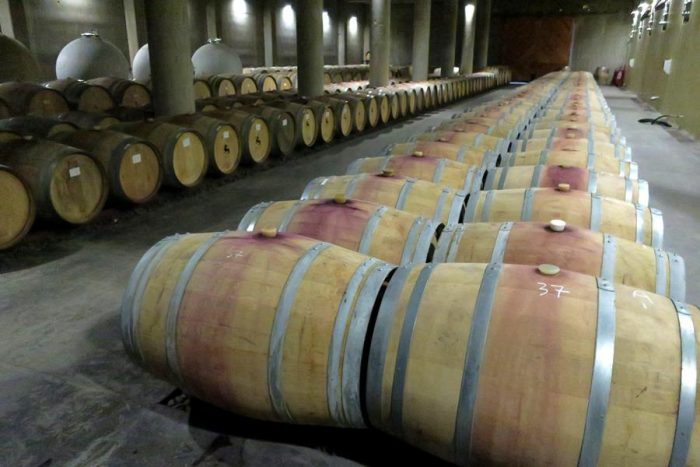Vino chileno: primer semestre muestra importante recuperación de exportaciones y precios