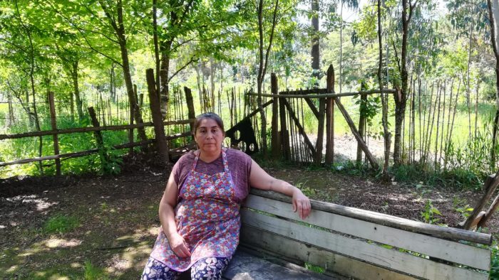 Gloria Quiñilen, dirigenta mapuche de Pailahueque: “Acá vivimos en una zona militarizada”