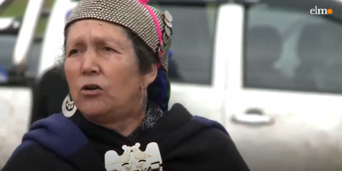 El llamado de la lonko Juana Calfunao a la mujer mapuche a parir para multiplicar su pueblo