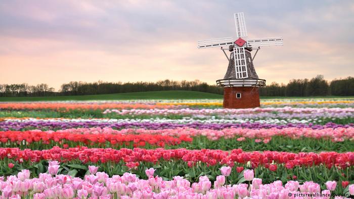 Los Países Bajos revolucionan la agricultura