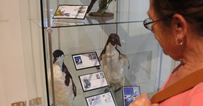 Exposición “Filatelia, Flora y Fauna mundial” en Museo de Historia Natural de Valparaíso