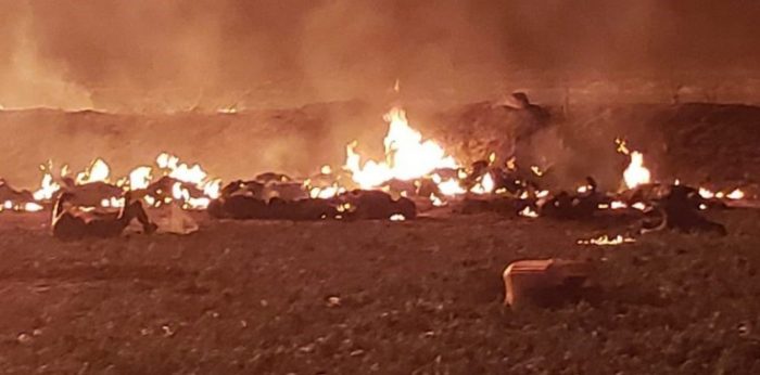 Chile «lamenta la tragedia» que causó 66 muertos en México por una explosión