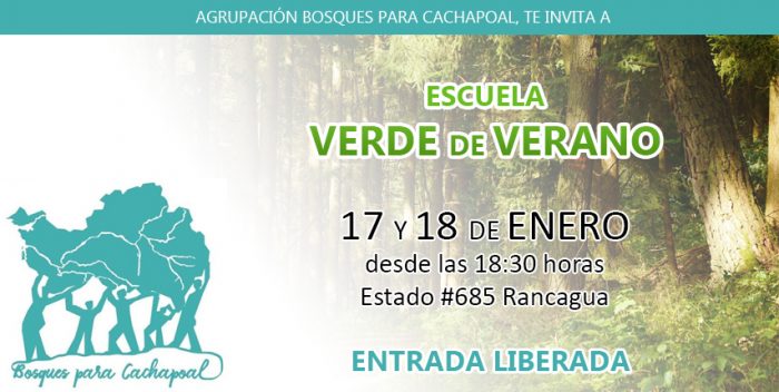 Escuela gratuita Verde de Verano en Museo Regional de Rancagua