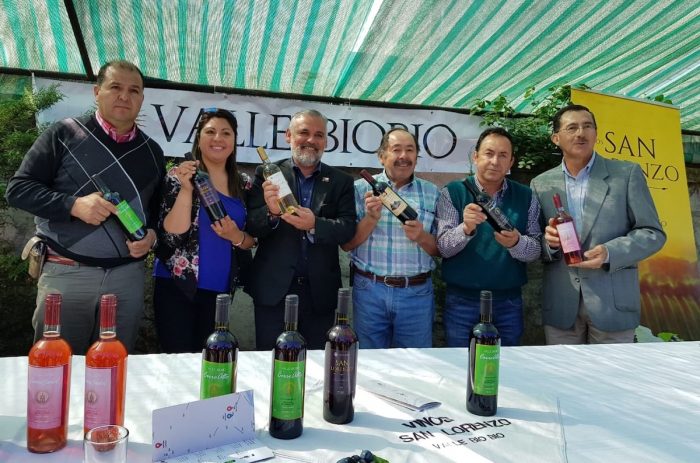 Acuerdo de Producción Limpia impulsará la competitividad de viñateros del Valle Biobío