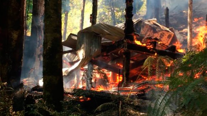 Vacaciones de Piñera son interrumpidas por incendio forestal en Lago Caburgua
