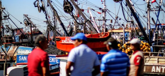 Senadores PS reiteran rechazo a que Subsecretaría de Pesca dependa de Agricultura: «Chile necesita un Ministerio del Mar»