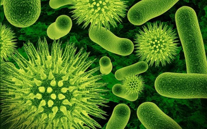 Investigador microbiólogo «La gente ha perdido miedo a los virus y bacterias, olvidando sus graves consecuencias»