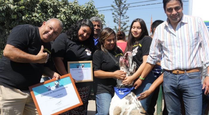 Perro más grande de Chile fue nombrado Embajador de la Tenencia Responsable de La Granja
