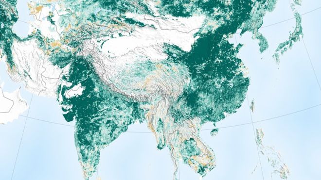 El estudio de la NASA que muestra que la Tierra es «más verde» que hace 20 años gracias a China e India