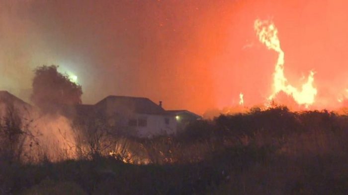 Onemi realiza nuevo balance de los incendios forestales: 15 siniestros se han registrado a nivel nacional