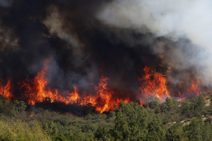 Pirómanos o “violencia rural”: las tesis del intendente Atton sobre los incendios en La Araucanía