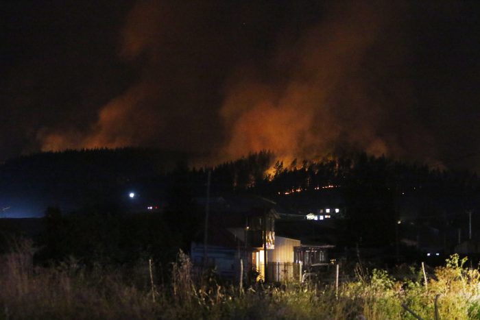 Incendios forestales atacan ahora la Región de Ñuble: Chillán y Coelemu bajo Alerta Roja