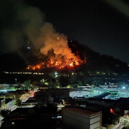 [Actualizada] Incendio en Cerro San Cristóbal obliga a evacuación preventiva de animales en el Zoológico
