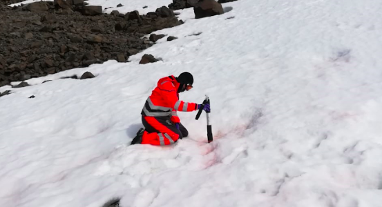 Investigadores chilenos se concentran en las algas antárticas como «los verdaderos sensores» del Cambio Climático