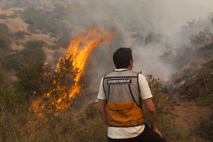 Director de Conaf prevé un «escenario adverso» de cara a incendios forestales