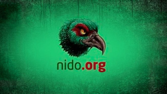 Caso Nido: el controversial foro de internet en medio de «uno de los mayores episodios de ciberacoso» en el país