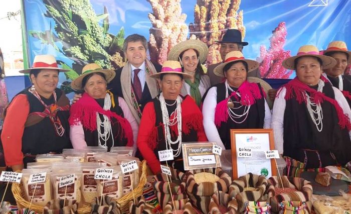 Congreso Mundial de la Quínua reunirá en Chile a expertos para analizar el futuro de este grano ancestral