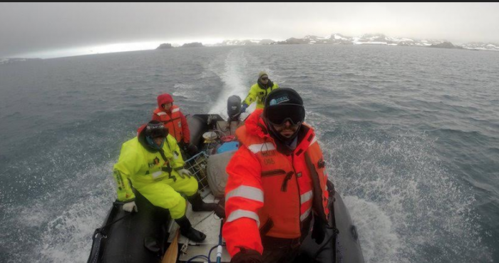 La bitácora antártica del doctor Höfer: la furia de las olas