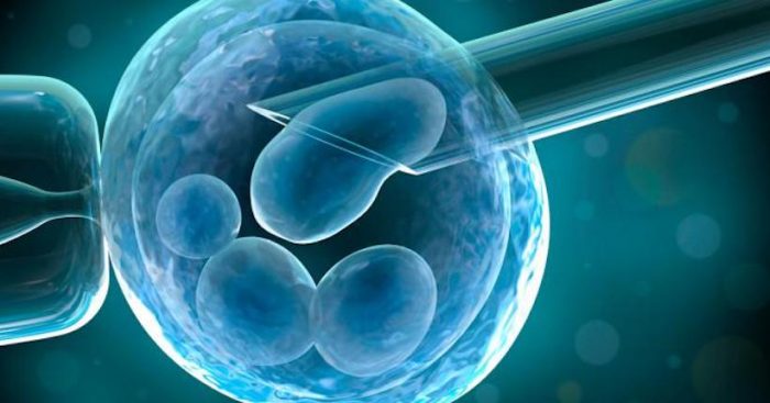Dr. Alfonso Martínez-Arias de U. Cambridge: “Utilizando células madres podremos  crear embriones humanos”