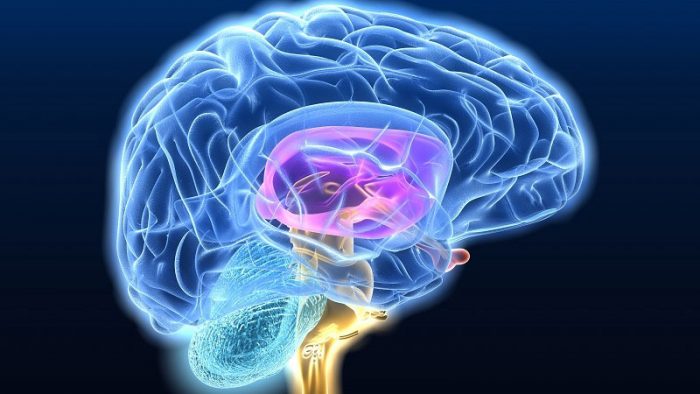 Estudio científico muestra que la esquizofrenia podría estar relacionada con la evolución humana