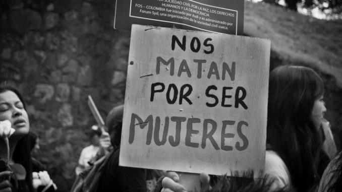 Femicidio en la comuna de Recoleta enluta conmemoración del Día de la Mujer