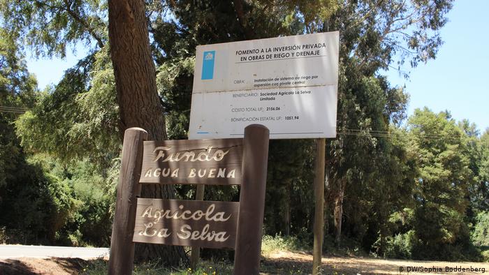 Parque eólico alemán en la Araucanía: ¿beneficiará a los mapuche?