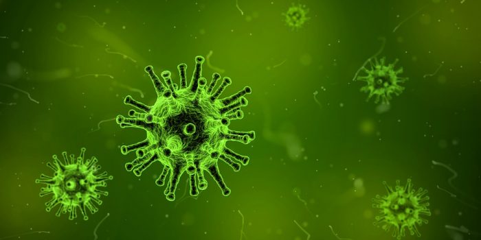Coronavirus: “La interconexión global expande microorganismos que antes solo se encontraban en ciertas áreas geográficas”