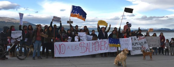 Corte de Apelaciones obliga suspender operaciones de salmoneras en la Patagonia