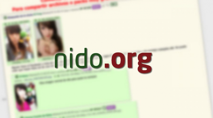 Caso Nido.org: policía identifica a un responsable de difundir fotos en el sitio web