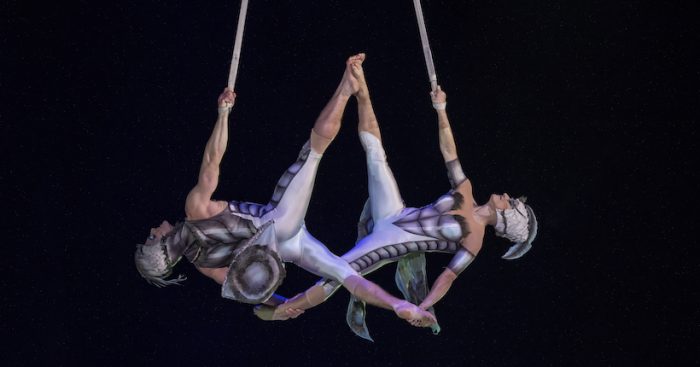 Cirque du Soleil regresa a Chile con su nuevo espectáculo OVO