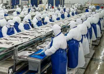 PacificBlu, la segunda empresa pesquera que anuncia el cierre de su planta en menos de una semana