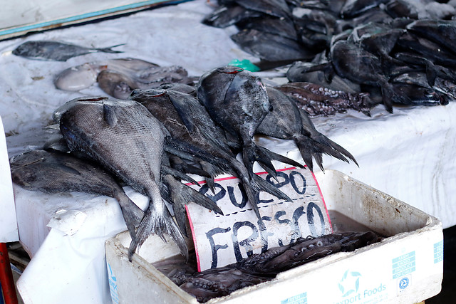 Pescadores y trazabilidad: una alternativa para ganar precios justos