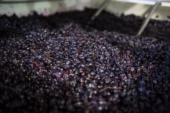 ¿Por qué en Burdeos piden reducir un 10 % de sus viñedos de vino tinto?