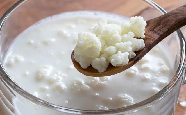 Estudio revela que consumo de «yogurt de pajaritos» ayuda a pacientes diabéticos