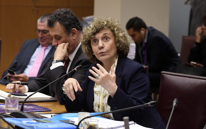 Dobra Lusic se victimiza ante comisión de Constitución del Senado y pide «regular la prensa» ante críticas a su trayectoria
