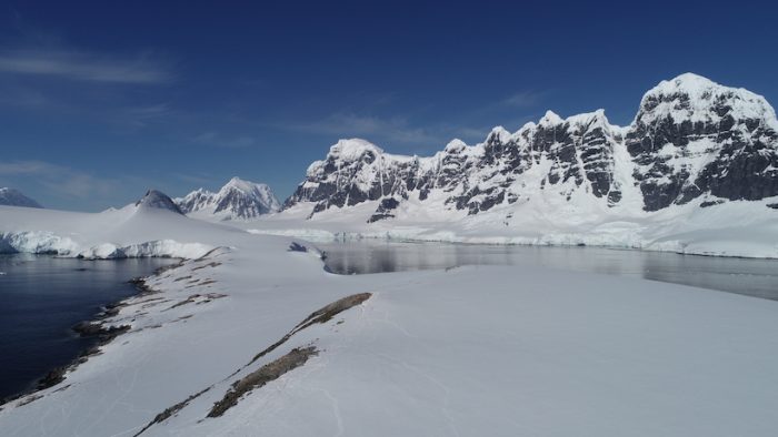 Derretimiento de glaciares ayudó al desarrollo de importantes poblaciones de microalgas en dos bahías antárticas
