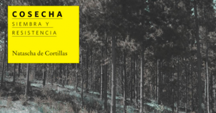 Exposición “Cosecha: siembra y resistencia” de Natascha de Cortillas en Galería Gabriela Mistral