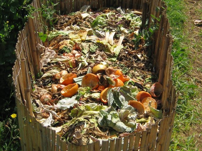El plan del Ministerio de Medio Ambiente para fomentar el compost en Chile