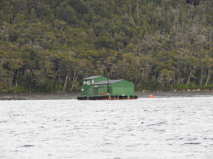 Greenpeace e instalación de salmonera Nova Austral: “Es una toma ilegal de mar y el Estado los debe desalojar”