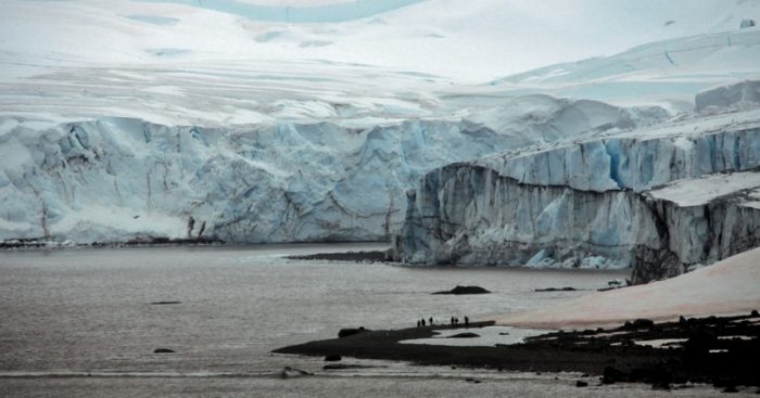 Cambio climático: difunden impactantes imágenes del estado de la Antártica tras ola de calor en la zona
