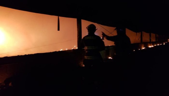 Miles de pollos mueren tras voraz incendio en galpón de Ariztia en San Antonio