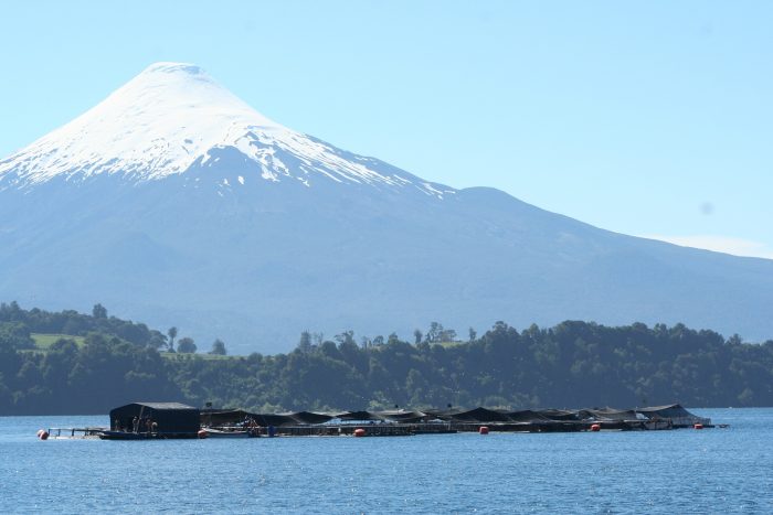 Llaman a terminar definivamente con la salmonicultura en los lagos del sur de Chile