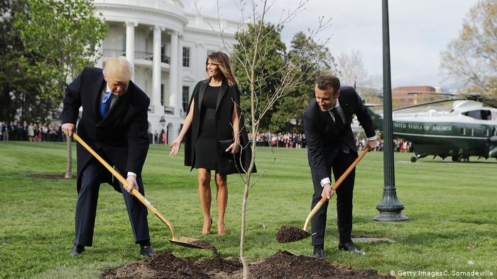 ¿Un presagio? Fallece «Árbol de la amistad» que fue plantado por Trump y Macron en la Casa Blanca